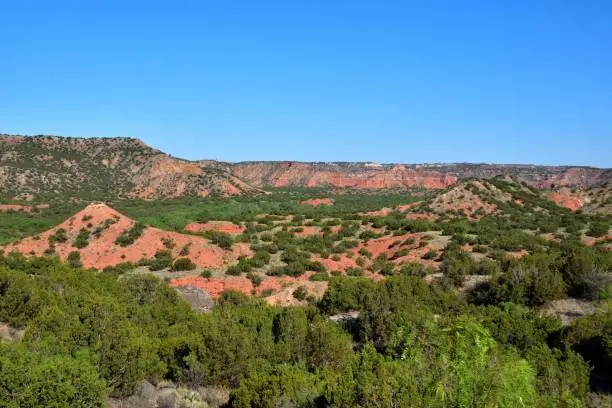 Photo of Landscape of Palo Duro Canyon State Park with lush green vegetation and rock formations in Texas