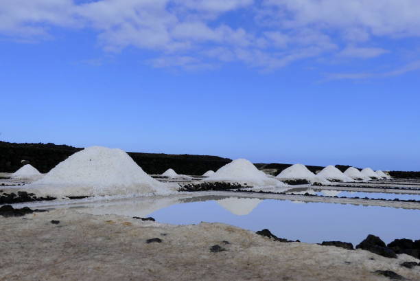 istock Salt production from sea water 1466312849