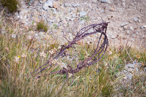 Rusty barb wire from World War II found in the mountains