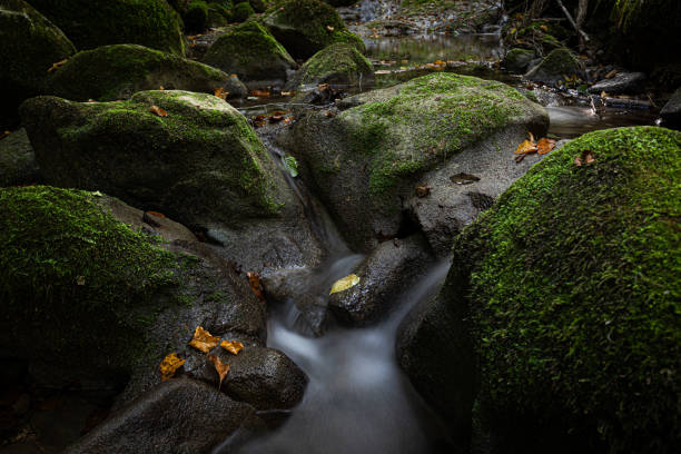Mountain stream waterfall in the forest in Asia.