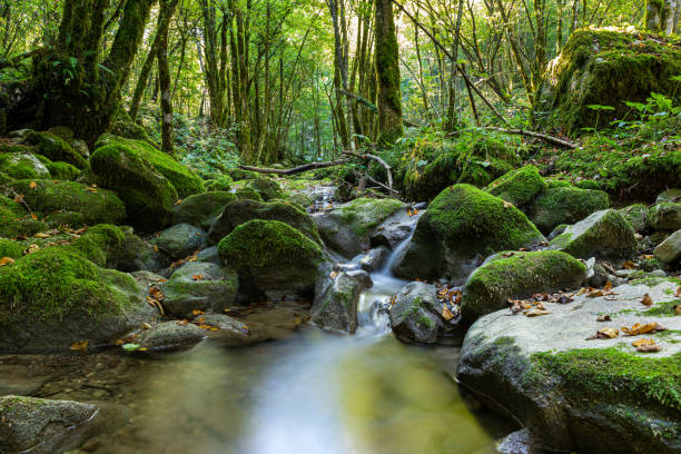 istock Kot waterfalls, Friuli Venezia Giulia 1466320727