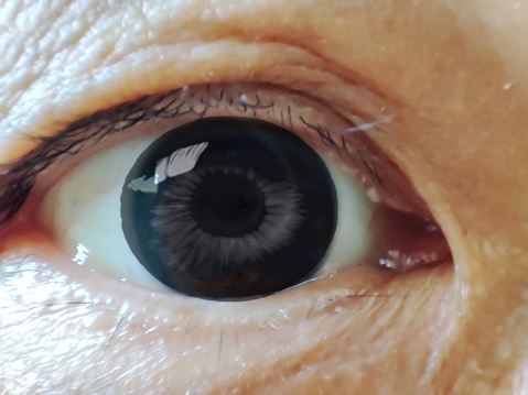 Extreme close-up of woman's grey eye.