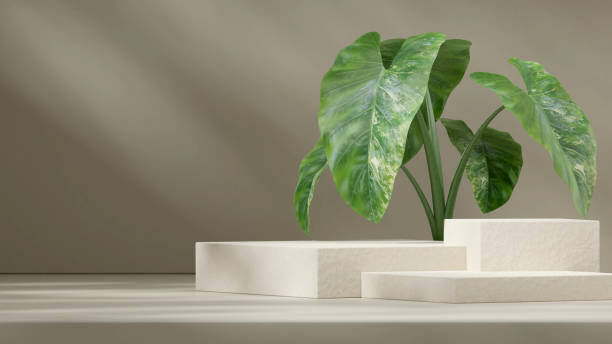istock Mockup template 3d render image ceramic natural texture podium in landscape with green alocasia 1466324193