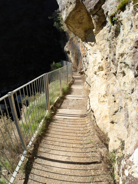 istock Karangahake Gorge track in contrast light 1466325097