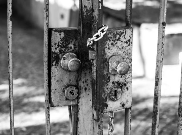 istock Grayscale of a rusty locked and chained gate 1466325505