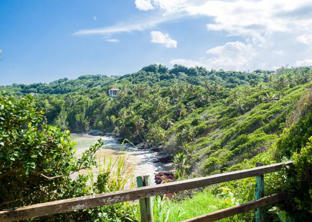 istock Scenic landscape with tropical trees on the sandy shore 1466327614