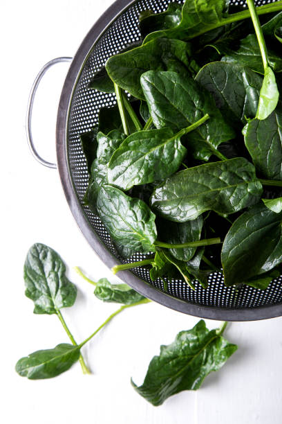 istock Washed fresh mini spinach in a colander on the old wooden table 1466328899