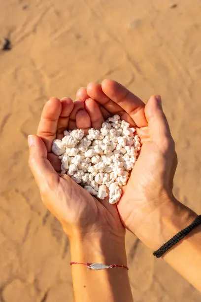 Photo of Hands holding little coral scraps in the Popcorn Beach near the town of Corralejo, Spain