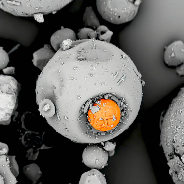 Microscope Lut 2 200+ Vue Au Microscope électronique à Balayage En Réflexion Photos ...