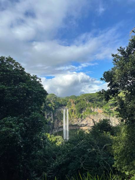 istock Vertical drone shot of the Chamarel Waterfall in Mauritius, cool for background 1466332151
