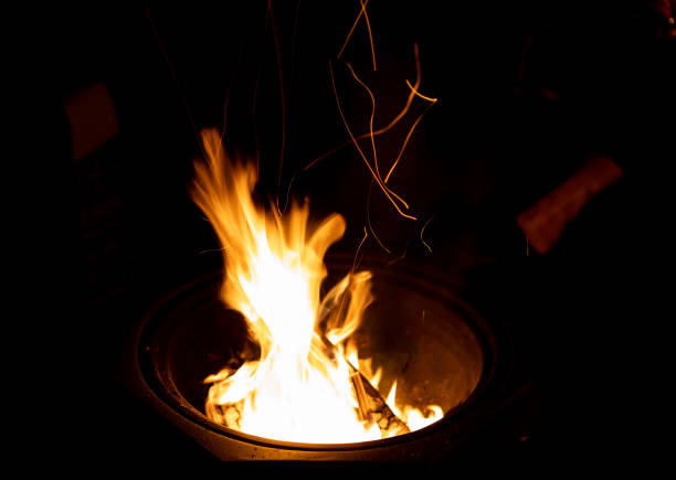 istock Closeup shot of a burning bonfire in a forest 1466332688