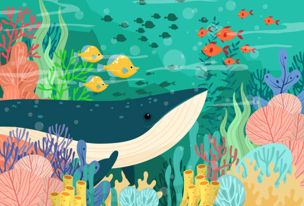 ilustrações, clipart, desenhos animados e ícones de grande baleia no mar profundo com bela vista subaquática - dolphin animal sea underwater