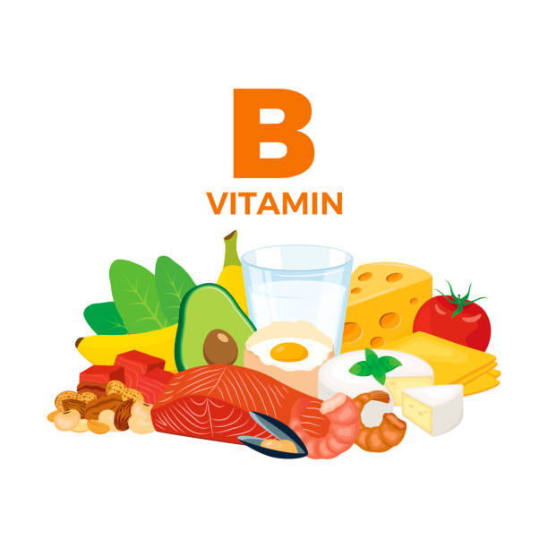 ilustrações de stock, clip art, desenhos animados e ícones de vitamin b in food icon vector - white background freshness spinach vegetable