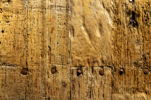 Old Wooden Door with Nails
