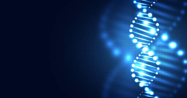 istock Healthcare and medical science technology with wireframe DNA. analysis of chromosomal DNA genetic. concepts and ideas for healthcare technology, innovation medicine, health, science and research. 1466345147
