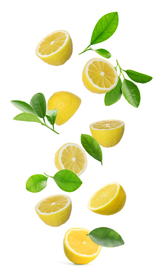 Fresh ripe cut lemons and green leaves falling on white background