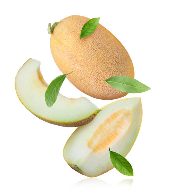 istock Delicious ripe melons and leaves falling on white background 1466349711