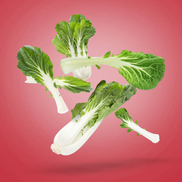 istock Fresh green pak choy cabbages falling on red background 1466351379