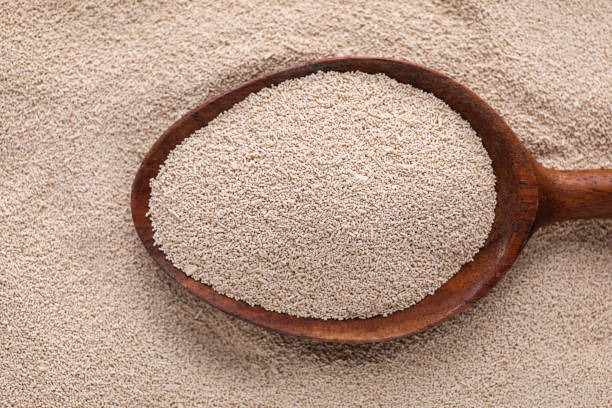 istock Spoon on pile of active dry yeast, top view 1466351420