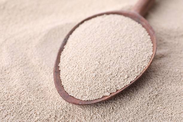 istock Spoon on pile of active dry yeast, closeup 1466351421
