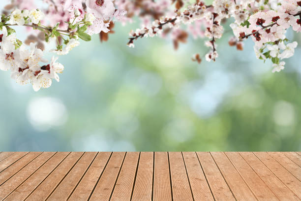 istock Spring tree branches with beautiful flowers over empty wooden surface against blurred green background 1466351758