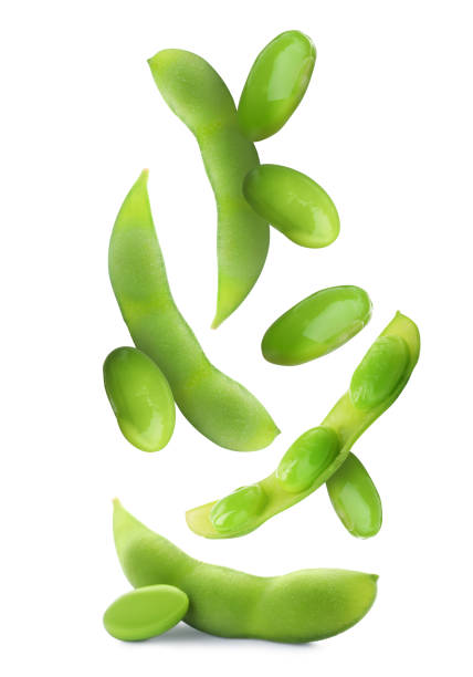 白い背景においしい調理大豆とさや。枝豆 - soybean bean edamame pod ストックフォトと画像