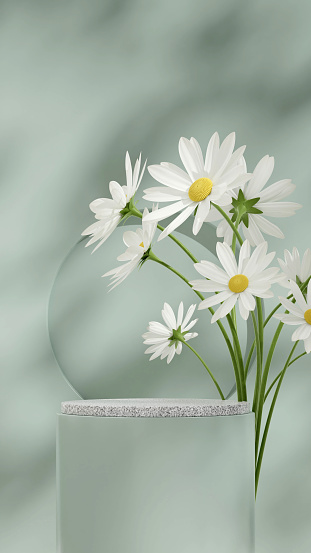 White granite and green podium in portrait with daisy flower and round wall 3D render empty scene