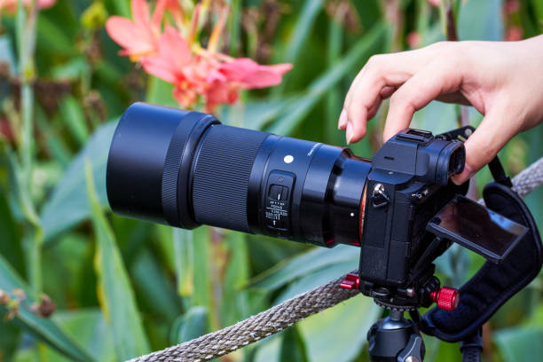 istock A photographer is operating a professional camera to shoot flowers 1466353823