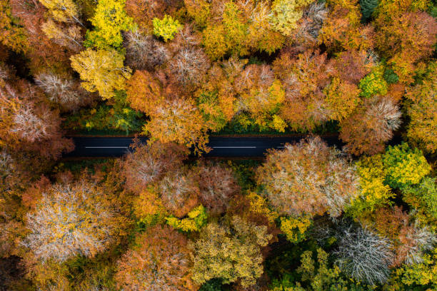 istock Autumn on Falster 1466359534