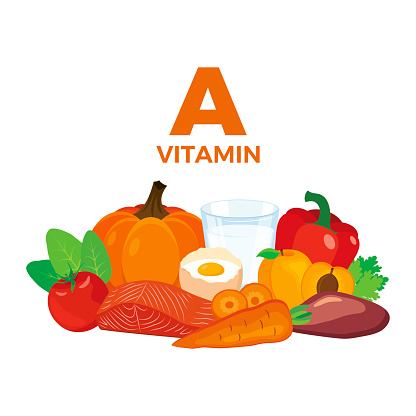 Vitamin A food sources vector illustration isolated on a white background. Carrot, fruits, vegetables, liver, meat, milk, egg vector. Pile of healthy fresh food drawing