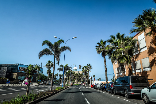Main Street Full Of Palm Trees In Las Palmas de Gran Canaria Hill Neighborhood, Spain