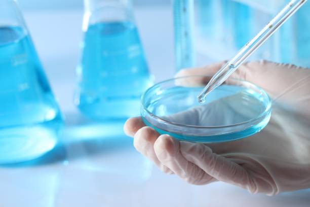 istock Scientist dripping liquid from pipette into petri dish in laboratory, closeup 1466362949