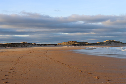 Footprints along a quiet sandy beach at low tide, disappearing into the distance