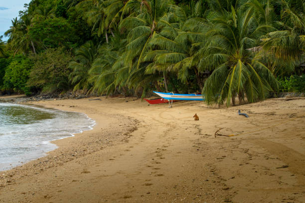 istock Boat in a tropical country 1466364205