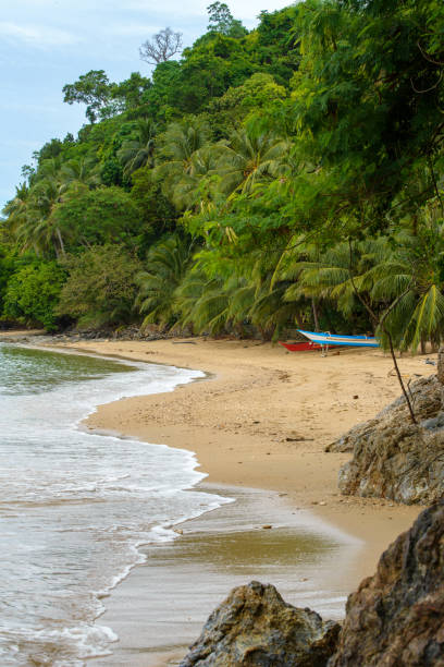 istock Boat in a tropical country 1466364331