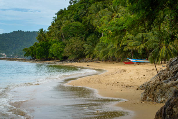 istock Boat in a tropical country 1466364397