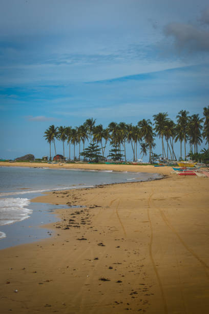istock Boat in a tropical country 1466364652