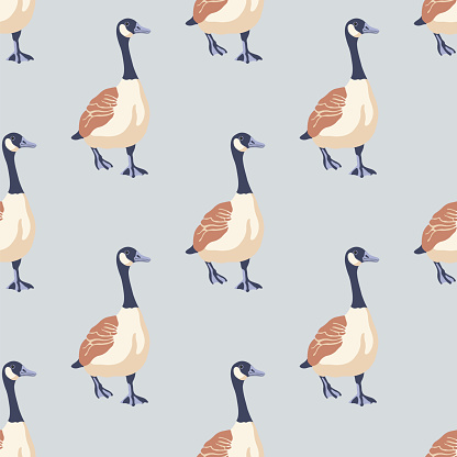 Canada geese. Color vintage style birds. Seamless pattern. Hand-drawn graphic design. Vector illustration on color background.