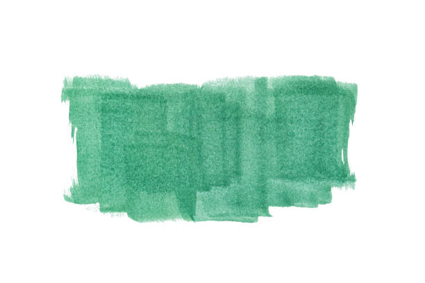 abstract acrylic watercolor paint brush stroke texture isolated on white background for logo and banner. design, creative, and illustration.