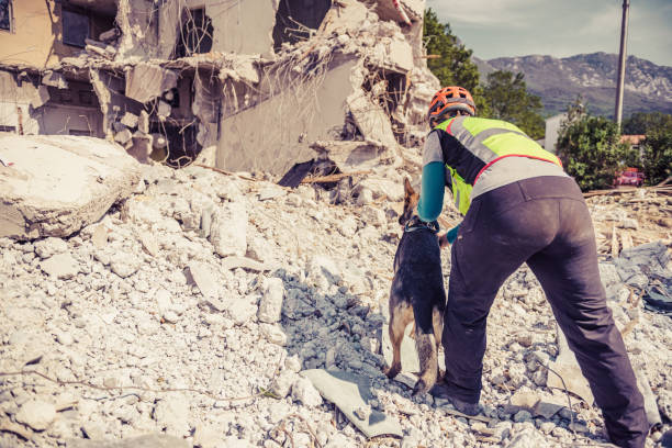 istock Rescuer search with help of rescue dog 1466369898