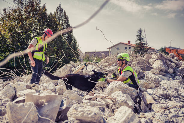 istock Rescuer search with help of rescue dog 1466369904
