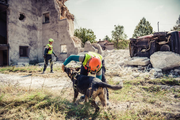 istock Rescuer search with help of rescue dog 1466369905