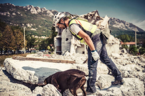 Rescuer search with help of rescue dog stock photo