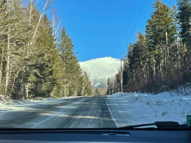istock Forest in New Hampshire 1466372374