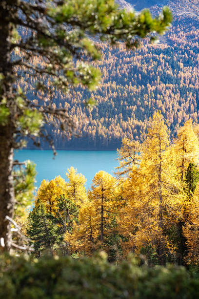 istock Mountain lake in autumn 1466374583