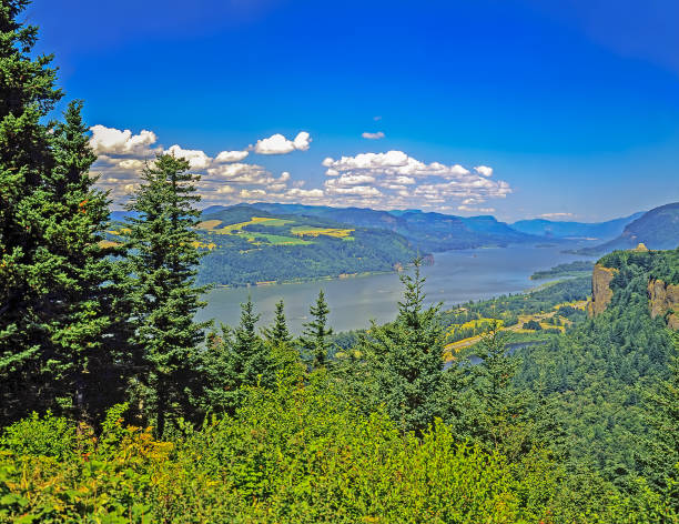 istock Columbia River Gorge, Oregon 1466375732