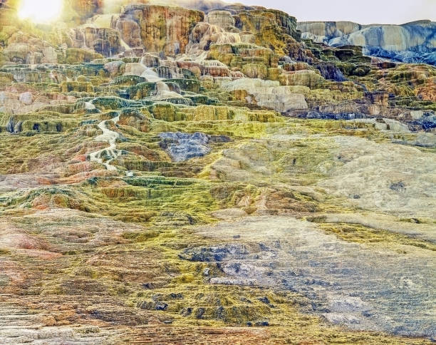 istock Jupiter Terrace, Yellowstone National Park 1466375918