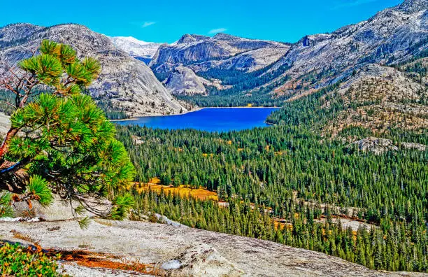 Tenaya Lake in Yosemite National Park, California