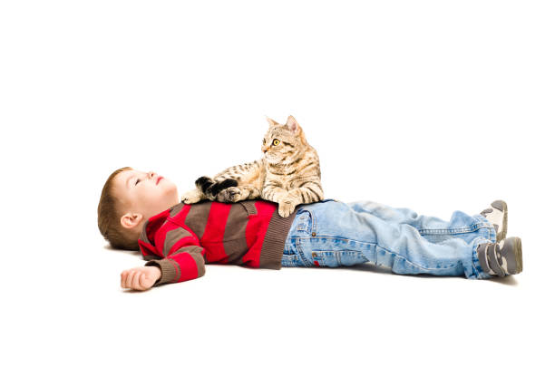 A cute girl with multiple ponytails hugs a stray cat in a playground.