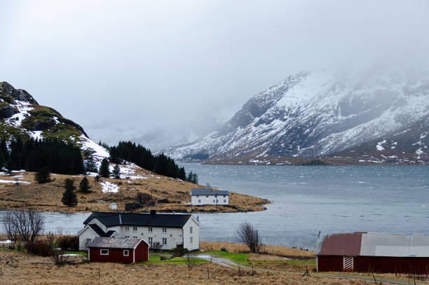Rainy day in the fjord of Lofoten stock photo